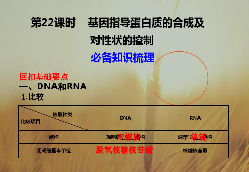 最新-2018高考生物一轮复习 基因指导蛋白质合成及对性状的控制课件 精品 