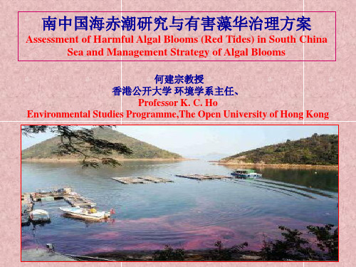 何建宗教授：南中国海赤潮与有害藻华