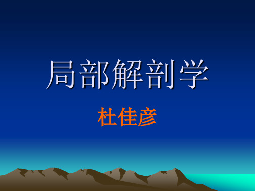 局部解剖学   头部s