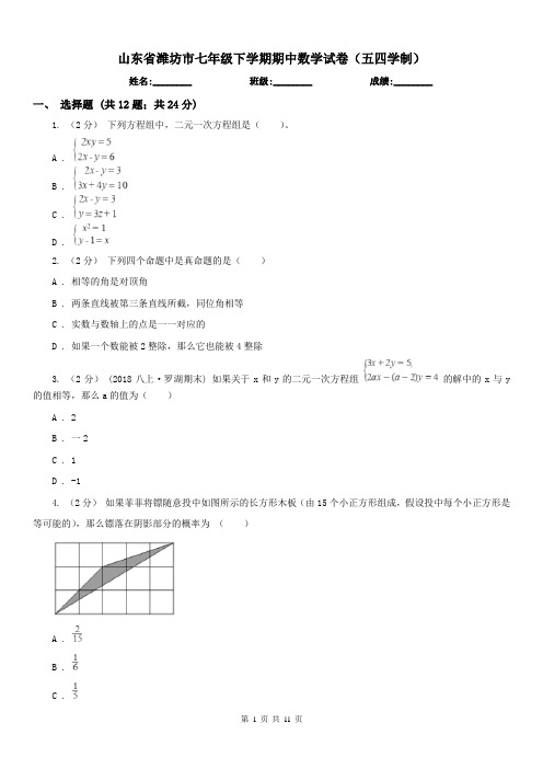 山东省潍坊市七年级下学期期中数学试卷(五四学制)