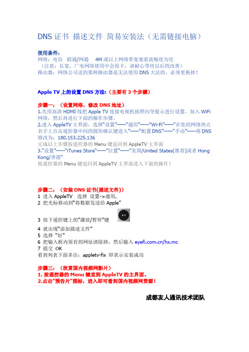 TV3DNS设置