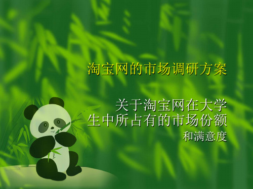 淘宝网的市场调研方案