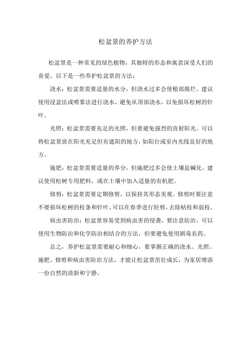 松盆景的养护方法