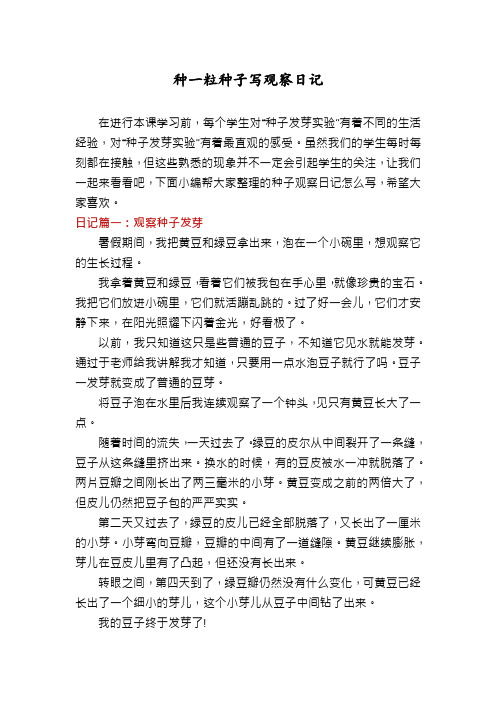 种一粒种子写观察日记