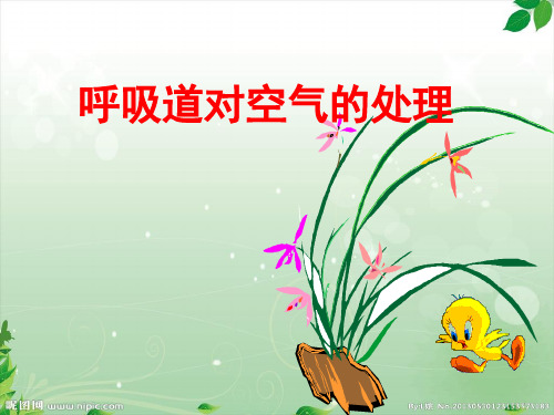七年级生物下册-第三章-第一节呼吸道对空气的处理