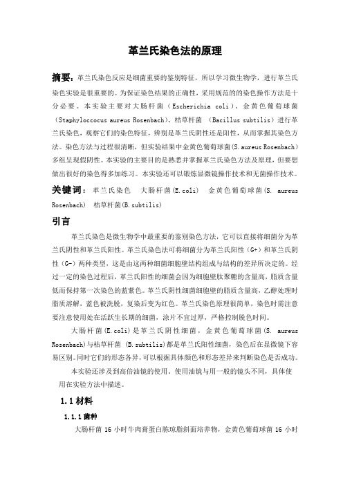 革兰氏染色实验报告