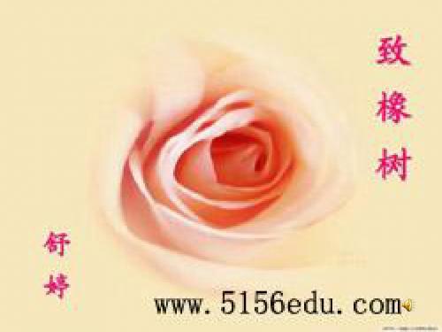 高中人教普通版第一册第一单元之《致橡树》课件