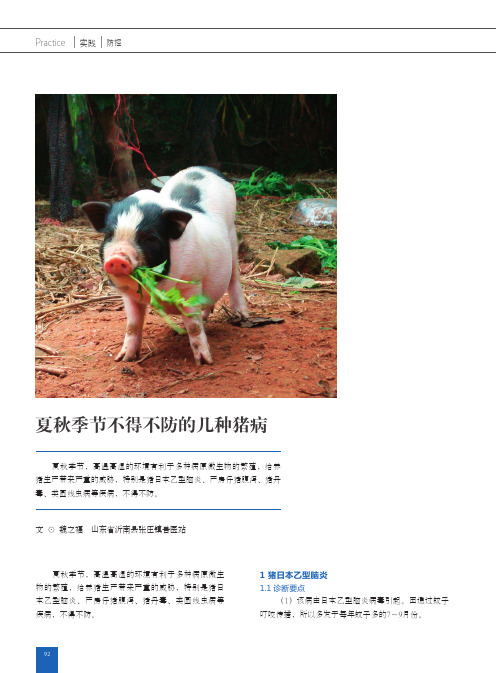 夏秋季节不得不防的几种猪病