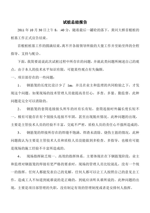 试桩总结报告