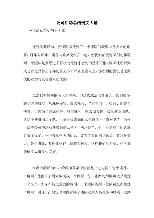 公司活动总结例文6篇