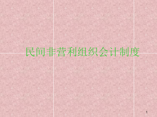 民间非营利组织会计制度