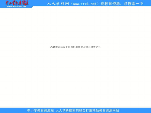 苏教版六年级下册图形的放大与缩小课件之二