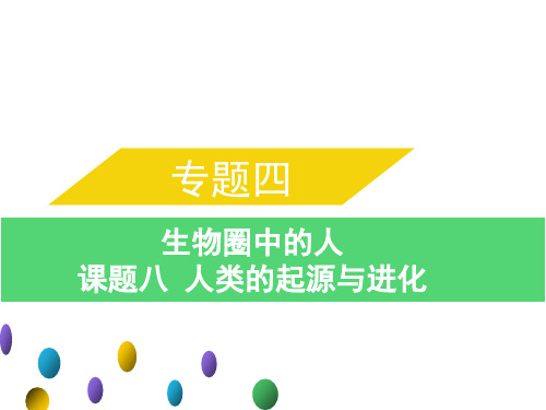 专题四课题八人类的起源与进化中考生物总复习课件