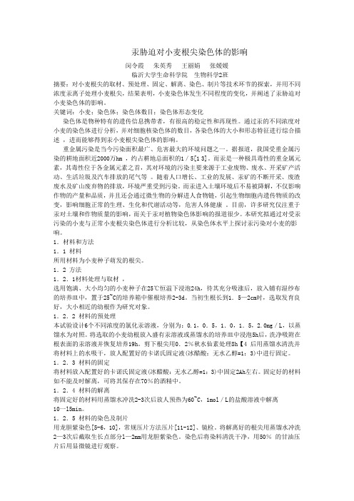 遗传学自主实验设计