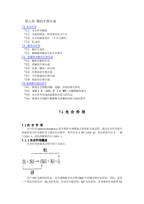 《生物化学》第七章 糖的生物合成
