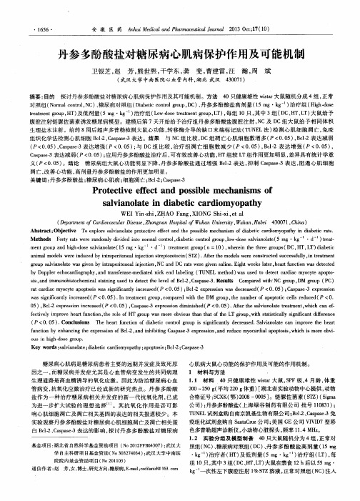 丹参多酚酸盐对糖尿病心肌病保护作用及可能机制