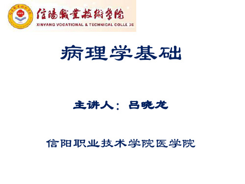 病理学基础--3炎症