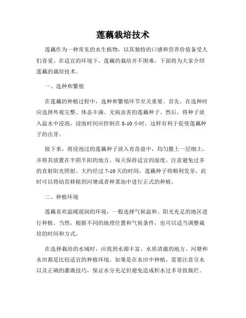 莲藕栽培技术