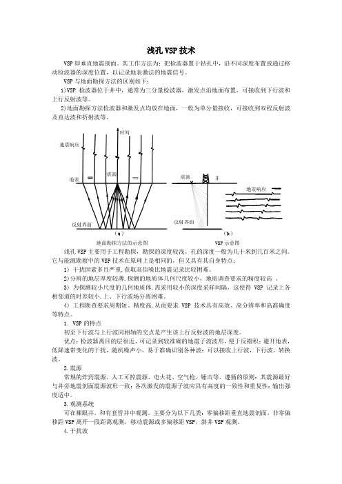 浅孔VSP技术