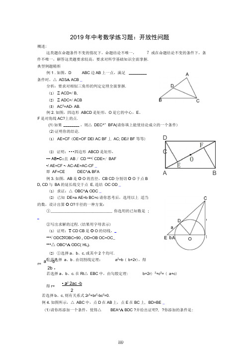 2019年中考数学练习题：开放性问题