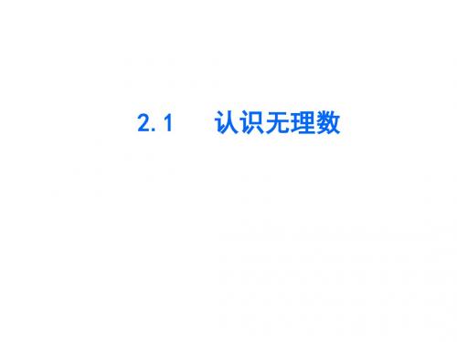 北师大版八年级数学上册备课课时练习课件2.1认识无理数
