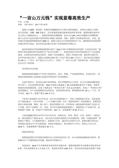 “一亩山万元钱”实现蓝莓高效生产
