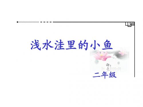 集体28《浅水洼里的小鱼》