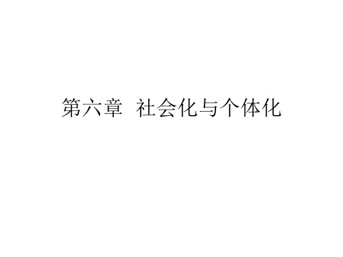 第六章  社会化和个体化