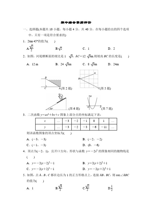 期中综合素质评价2022-2023学年度北师大版数学九年级下册