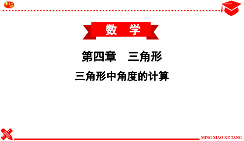 三角形中角度的计算专题