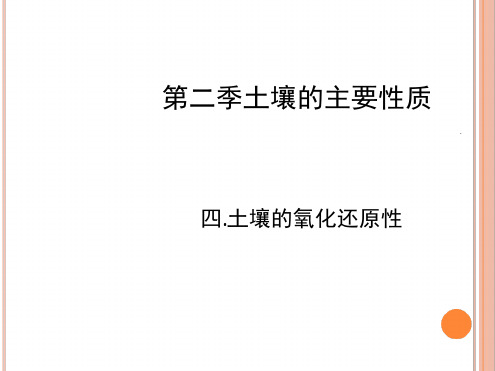 土壤的氧化还原性PPT课件