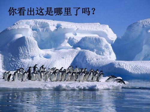 (部编)初中语文人教2011课标版七年级下册伟大的悲剧课时一PPT