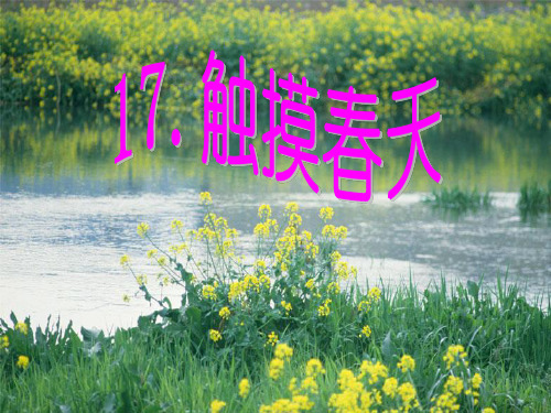 17.触摸春天(完美版)(2)