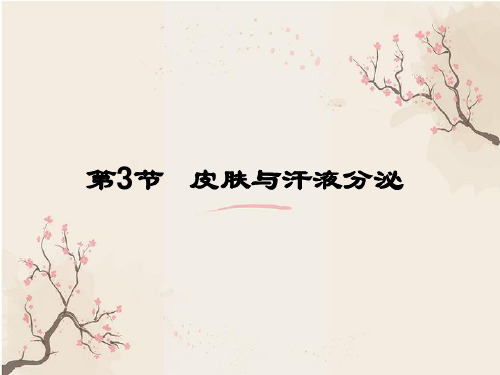 皮肤与汗液分泌PPT教学课件