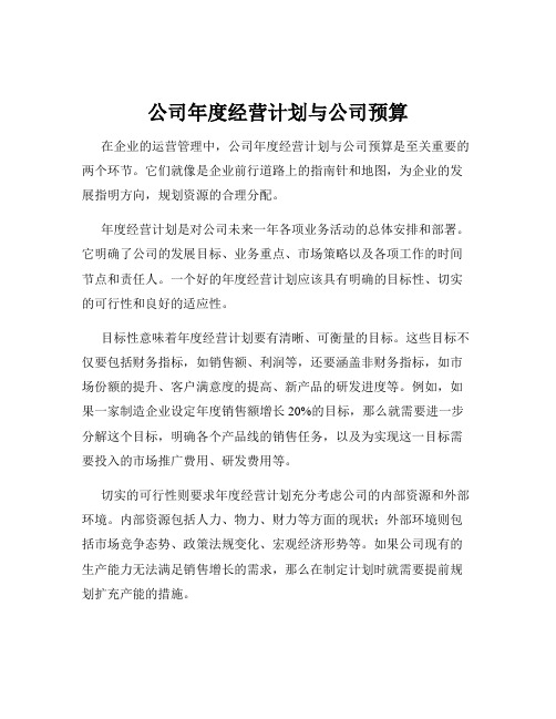 公司年度经营计划与公司预算