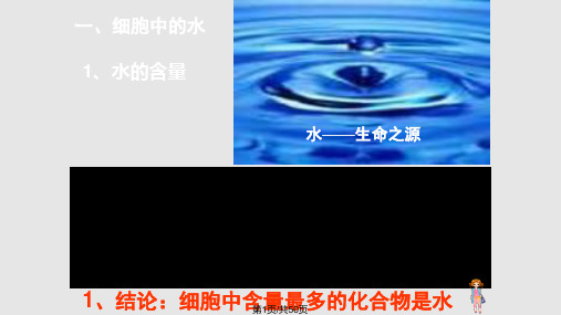 高中生物细胞中的无机物PPT课件