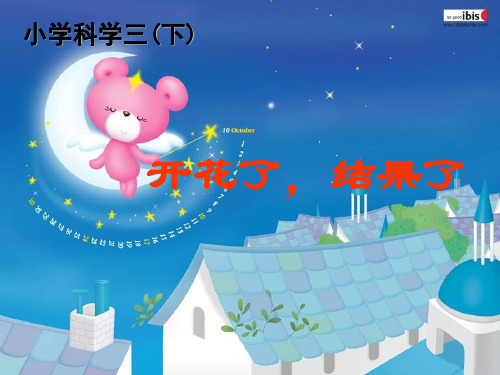 1-6开花了_结果了解析