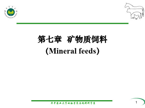 第七章  矿物质饲料