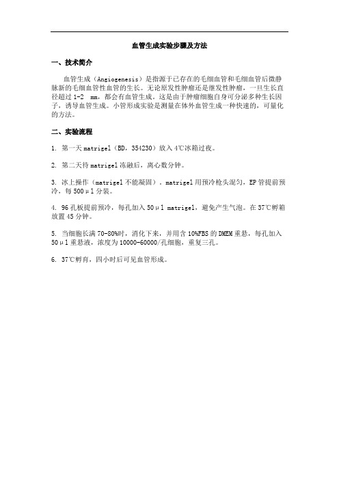 血管生成实验步骤及方法 