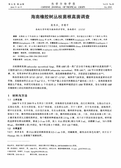 海南橡胶树丛枝茵根真菌调查