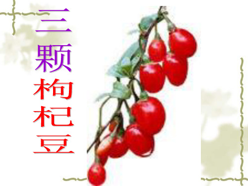 《三颗枸杞豆》3精品PPT课件