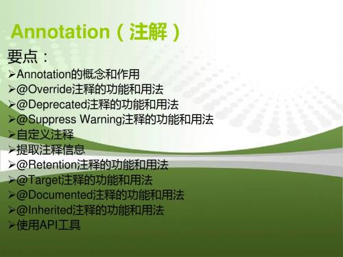 Annotation(注解)