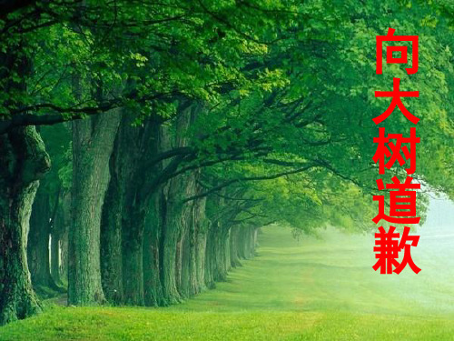 西师大版语文课件四上《向大树道歉》课件