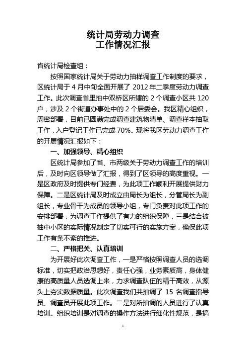 统计局劳动力抽样调查工作汇报(总结)