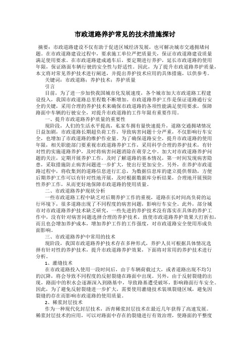 市政道路养护常见的技术措施探讨