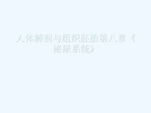 人体解剖与组织胚胎第八章《泌尿系统》[可修改版ppt]