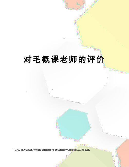 对毛概课老师的评价