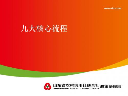 九大流程图
