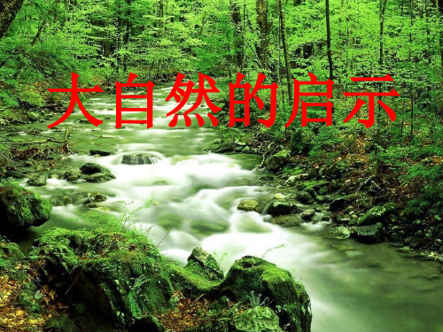四年级下册语文第三单元口语交际--大自然的启示_