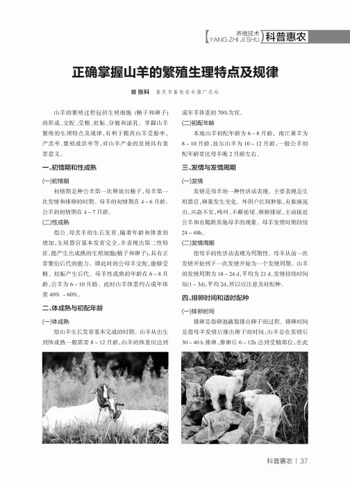 正确掌握山羊的繁殖生理特点及规律